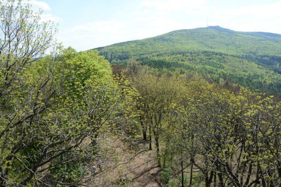 Wieża Widokowa na Wieżycy